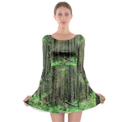 Forest Woods Nature Landscape Tree Long Sleeve Skater Dress