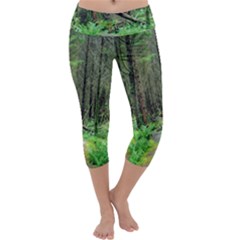 Forest Woods Nature Landscape Tree Capri Yoga Leggings by Celenk