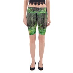 Forest Woods Nature Landscape Tree Yoga Cropped Leggings by Celenk