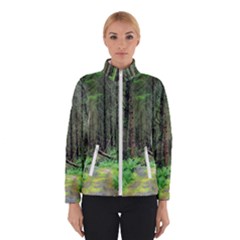 Forest Woods Nature Landscape Tree Winterwear by Celenk