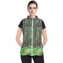 Forest Woods Nature Landscape Tree Women s Puffer Vest