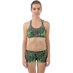 Forest Woods Nature Landscape Tree Back Web Sports Bra Set by Celenk