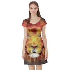 Fractal Lion Short Sleeve Skater Dress by Celenk