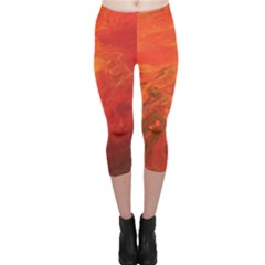 Paloma Capri Leggings  by ArtByGabrieleWA