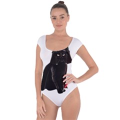 Darth Vader Cat Short Sleeve Leotard  by Valentinaart