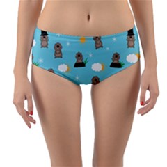 Groundhog Day Pattern Reversible Mid-waist Bikini Bottoms by Valentinaart