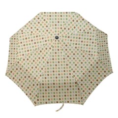 Green Brown Eggs Folding Umbrellas