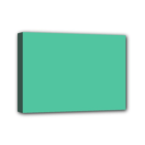 Seafoamy Green Mini Canvas 7  X 5  by snowwhitegirl