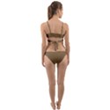 Brownish Wrap Around Bikini Set View2