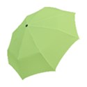 Minty Folding Umbrellas View2