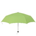 Minty Folding Umbrellas View3