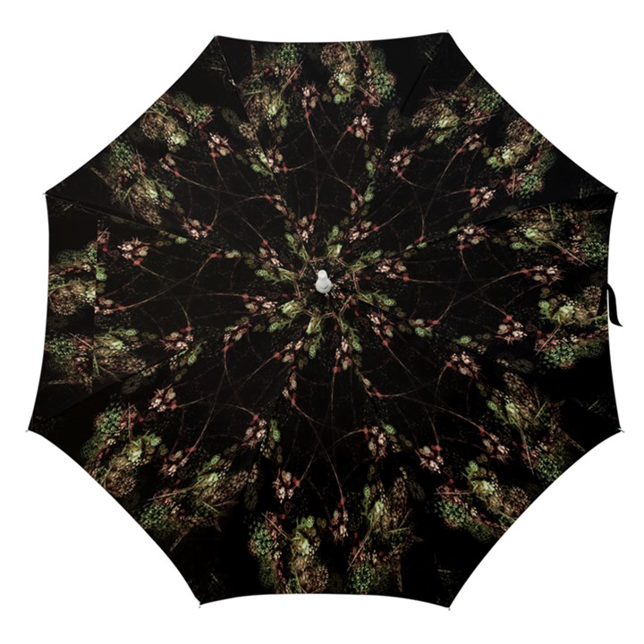 Fractal Art Digital Art Straight Umbrellas