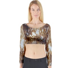 Rusty Texture Pattern Daniel Long Sleeve Crop Top by Nexatart