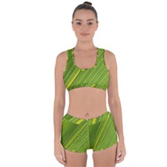 Leaf Plant Nature Pattern Racerback Boyleg Bikini Set by Nexatart