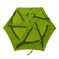 Green Leaf Plant Nature Structure Mini Folding Umbrellas by Nexatart