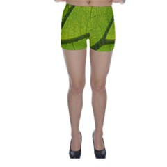 Green Leaf Plant Nature Structure Skinny Shorts by Nexatart