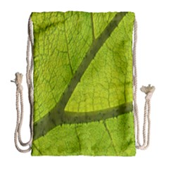 Green Leaf Plant Nature Structure Drawstring Bag (large) by Nexatart