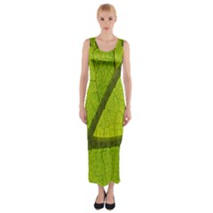 Green Leaf Plant Nature Structure Fitted Maxi Dress by Nexatart