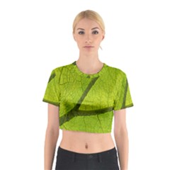 Green Leaf Plant Nature Structure Cotton Crop Top by Nexatart