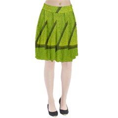 Green Leaf Plant Nature Structure Pleated Skirt by Nexatart