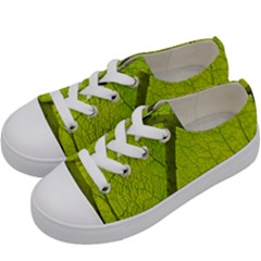 Green Leaf Plant Nature Structure Kids  Low Top Canvas Sneakers by Nexatart