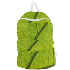 Green Leaf Plant Nature Structure Foldable Lightweight Backpack by Nexatart