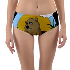 Groundhog Day Reversible Mid-waist Bikini Bottoms by Valentinaart