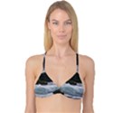 Sightseeing at Niagara Falls Reversible Tri Bikini Top View1