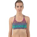 Years Of Peace Living In A Paradise Of Calm And Colors Back Web Sports Bra View1