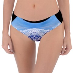 Mountaincurvemore Reversible Classic Bikini Bottoms