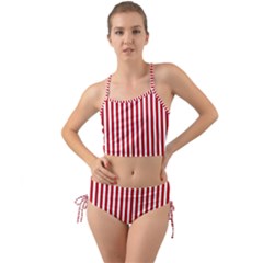 Red Stripes Mini Tank Bikini Set by jumpercat