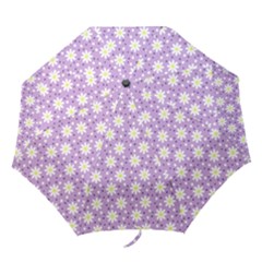 Daisy Dots Lilac Folding Umbrellas by snowwhitegirl