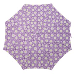 Daisy Dots Lilac Straight Umbrellas by snowwhitegirl