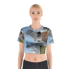 20180115 125817 Hdr Cotton Crop Top by AmateurPhotographyDesigns