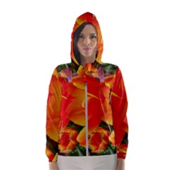 20180115 144714 Hdr Hooded Wind Breaker (women)