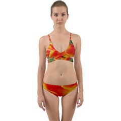 20180115 144714 Hdr Wrap Around Bikini Set