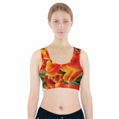 20180115 144714 Hdr Sports Bra With Pocket