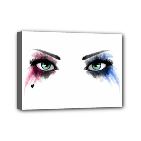 Look Of Madness Mini Canvas 7  X 5  by jumpercat