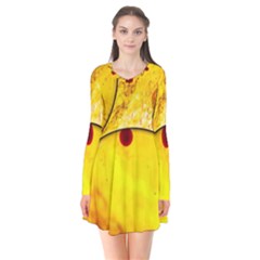 Abstract Water Oil Macro Flare Dress by Nexatart