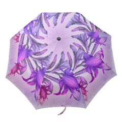 Flowers Flower Purple Flower Folding Umbrellas by Nexatart