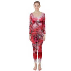 Flower Roses Heart Art Abstract Long Sleeve Catsuit by Nexatart