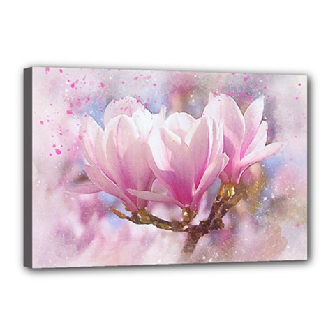 Flowers Magnolia Art Abstract Canvas 18  X 12  by Nexatart