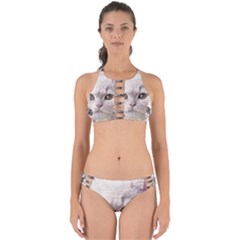 Cat Pet Cute Art Abstract Vintage Perfectly Cut Out Bikini Set by Nexatart