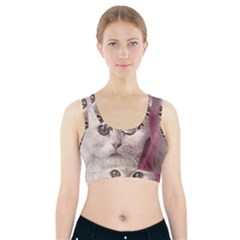 Cat Pet Cute Art Abstract Vintage Sports Bra With Pocket