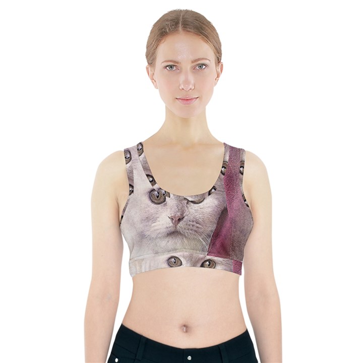 Cat Pet Cute Art Abstract Vintage Sports Bra With Pocket