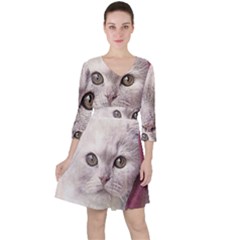 Cat Pet Cute Art Abstract Vintage Ruffle Dress by Nexatart