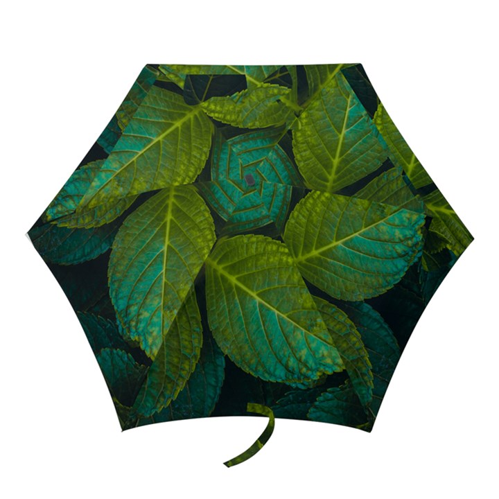 Green Plant Leaf Foliage Nature Mini Folding Umbrellas