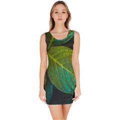 Green Plant Leaf Foliage Nature Bodycon Dress