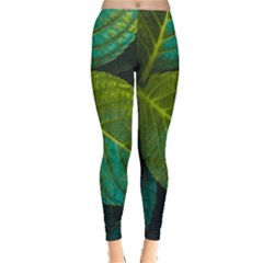 Green Plant Leaf Foliage Nature Leggings  by Nexatart