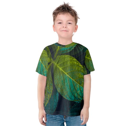 Green Plant Leaf Foliage Nature Kids  Cotton Tee by Nexatart